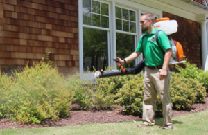 Mosquito Joe of Kansas City technician spraying bushes out of a home. 