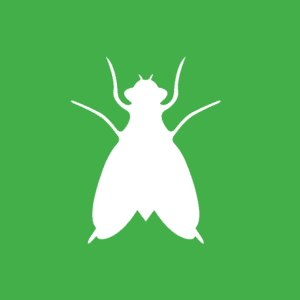 White vector graphic of gnat on green background. 