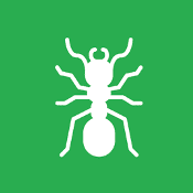 White vector graphic of an ant on a green background. 