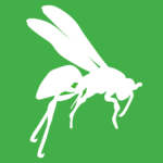 White vector graphic of a wasp on a green background. 